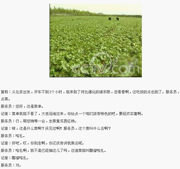 �������� ���������׬Ǯ ʳƷ�¸��� ���� С�� ��װ 