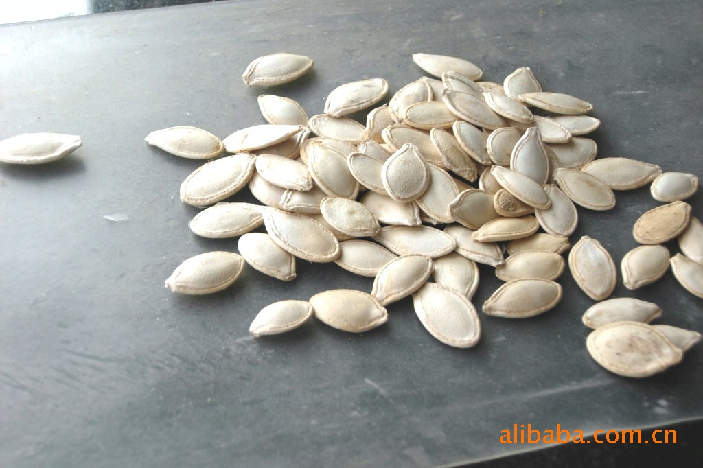 主要经营有葵花籽 白瓜子 南瓜籽西瓜籽等