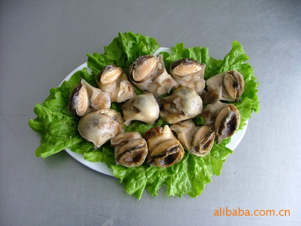 供应海螺头海螺冷冻水产品