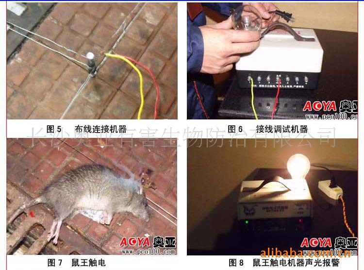 高壓電子滅鼠器,電子捕鼠器,貓頭鷹環保電子滅鼠器ay-d6