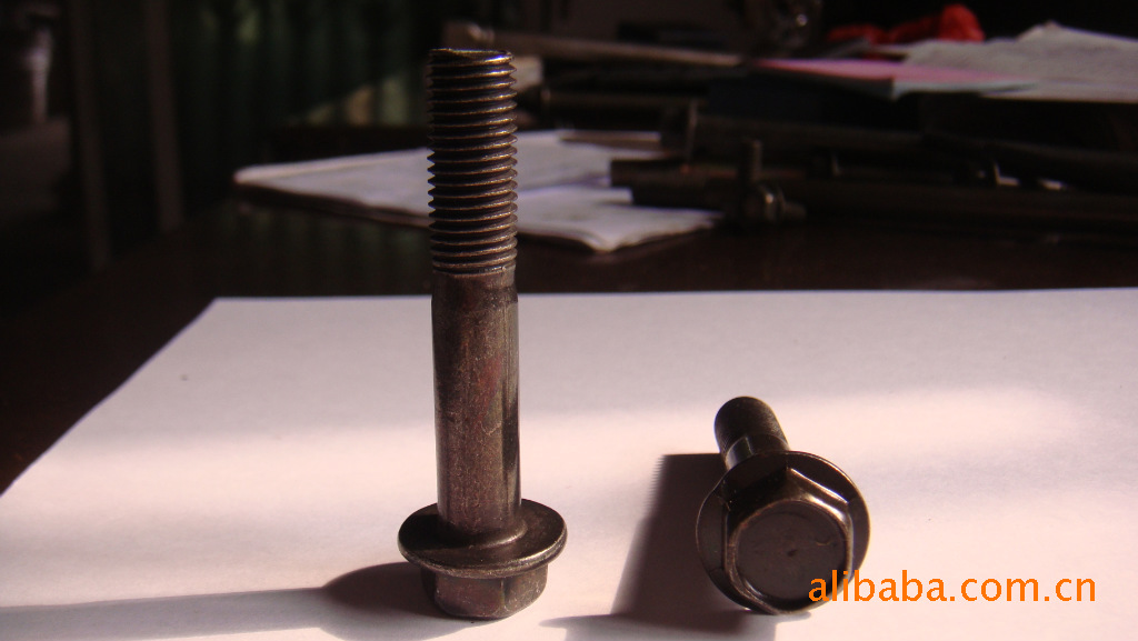 [供应]电动车上的各种螺丝(图)