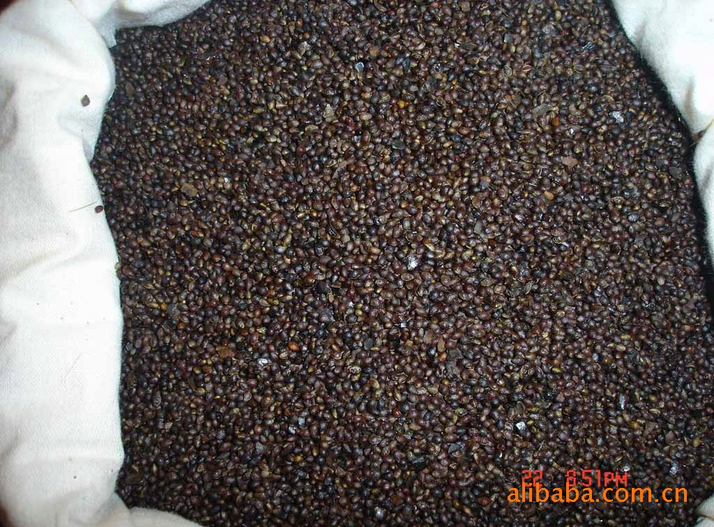 高级保健食用油原料毛叶山桐子