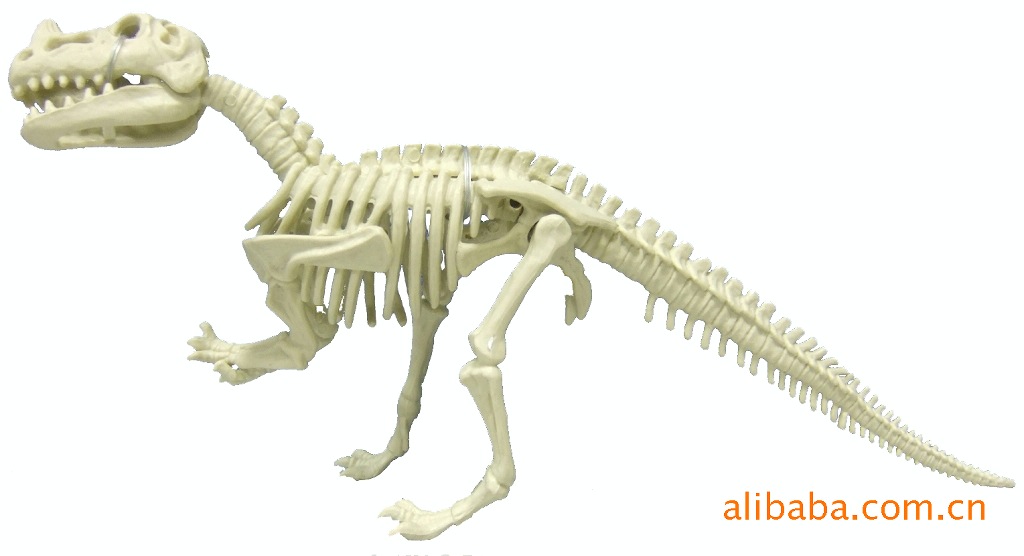 专业供应恐龙骨架 - 义乌市百富勤玩具厂 - 豆当店铺网
