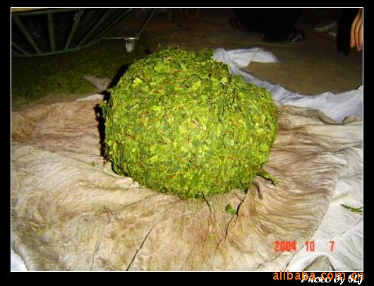 **上市2011春茶安溪铁观音茶叶