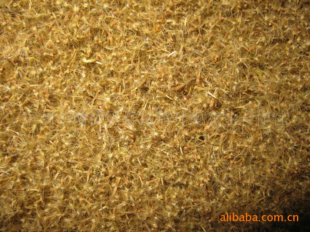 【产地直销】供应守田系列ra65%甜叶菊种子