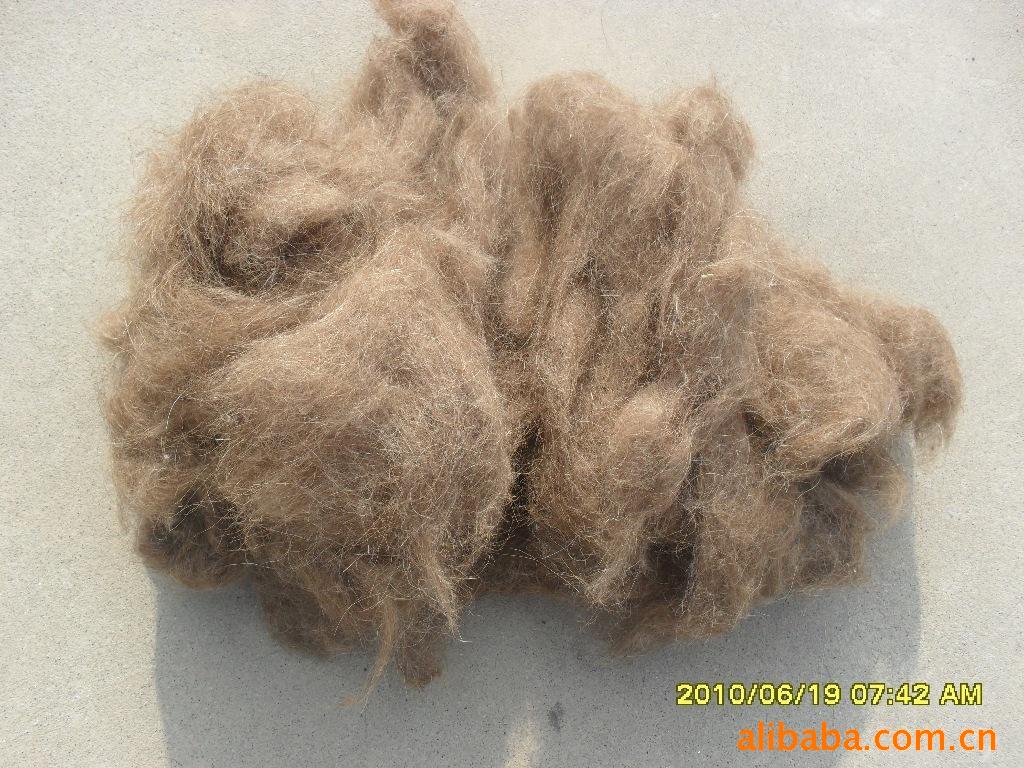 羊毛价格