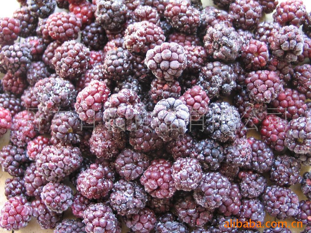 丹东日食食品有限公司 纯正糖水黑树莓罐头