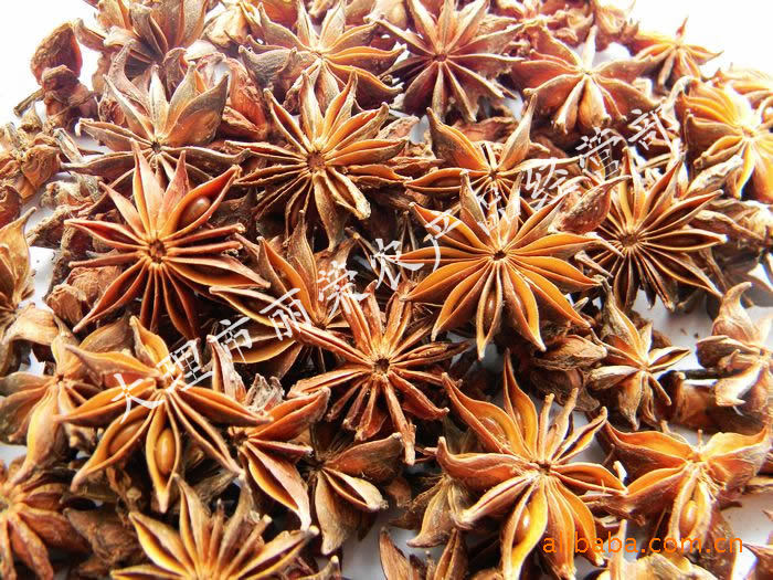 云南大理野八角中药材 植物原药材