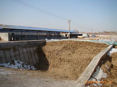 蛇粪卖的少 牛粪抢破头(青州养蛇养牛人)