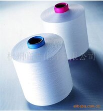 涤纶DTY价格