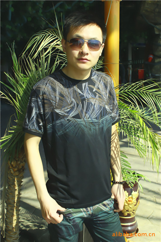 服装鞋帽箱包,钟表眼镜 男装 男式t恤 正品普斯莱利 pullman .