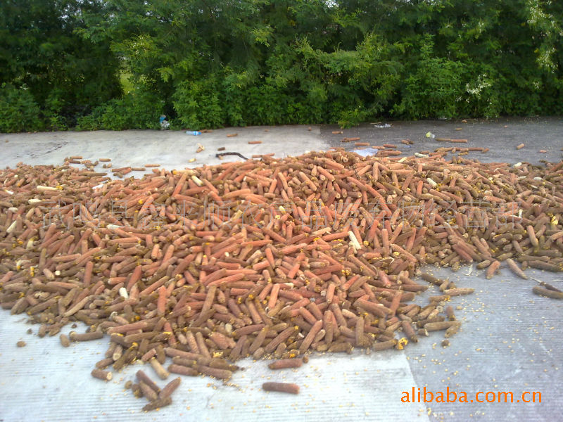 求购玉米芯马山县玉米芯大化县玉米芯都安县玉米芯玉米棒芯