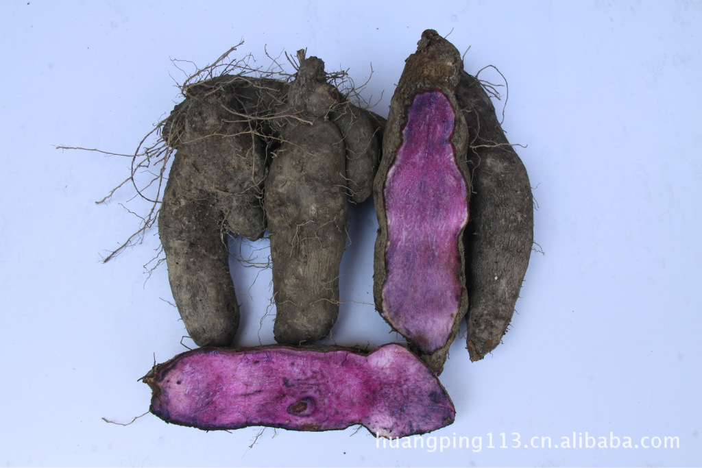 黄岩紫莳药-「根块,根茎类」-马可波罗网