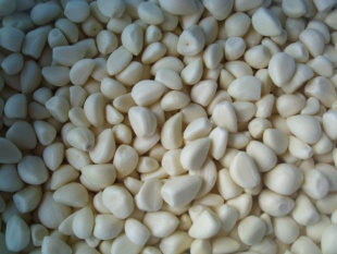 供速冻4*4蒜丁,蒜米,20g,1kg蒜泥块,价格低,符合出口标准