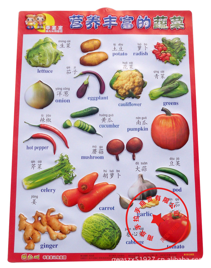 营养丰富的蔬菜 专柜正版乖宝宝学习挂图 幼儿早教挂图凹凸版