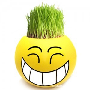 qq表情长草娃娃-呲牙