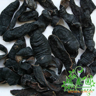 动物类原药材 纯野生 水蛭 蚂蝗 马鳖 破血 逐瘀 通经1050元