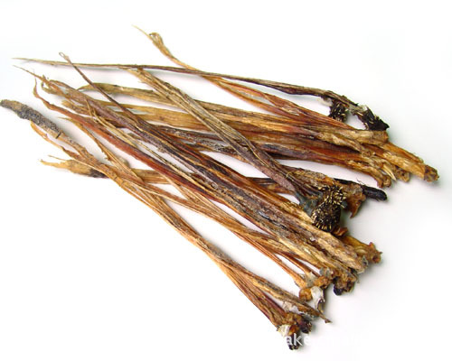 批量供应 优质蛇鞭