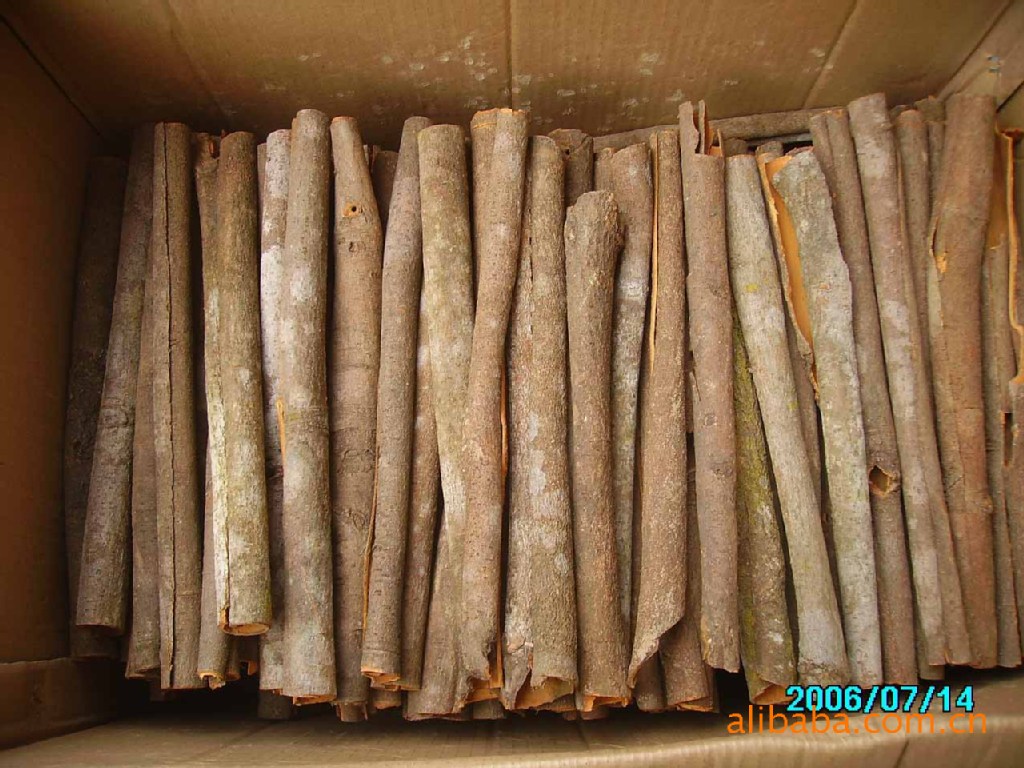 批发肉桂 肉桂段 桂皮