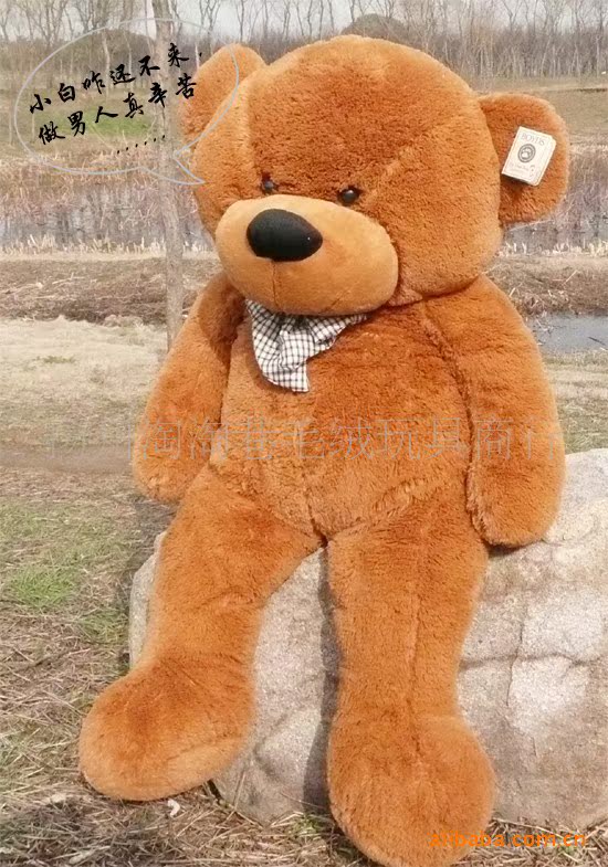 厂家直销 林嘉欣熊80厘米毛绒玩具泰迪熊 玩具熊公仔不包邮活动