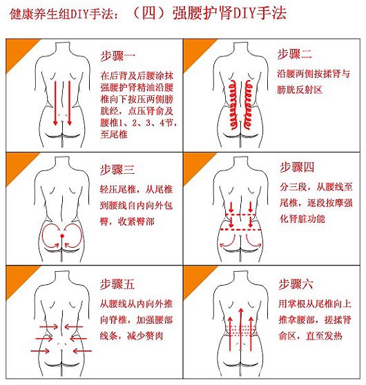 仟露云草 肾部保养精油 养肾护肾 滋润组织细胞 身体保健