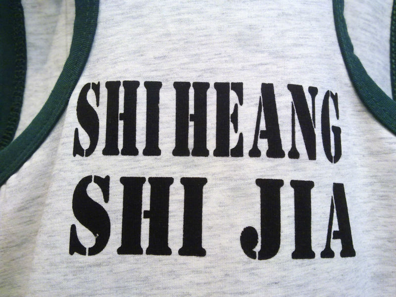 新品上市热卖晨晨大童莫代尔报纸印花背心8-14岁