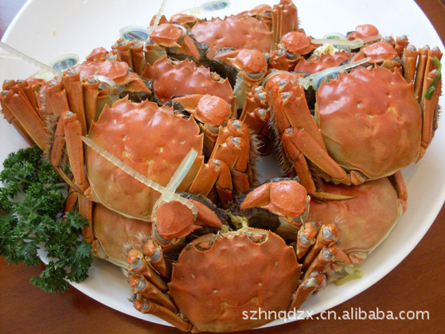 苏州市相城区太平阳澄西湖特种水产养殖场