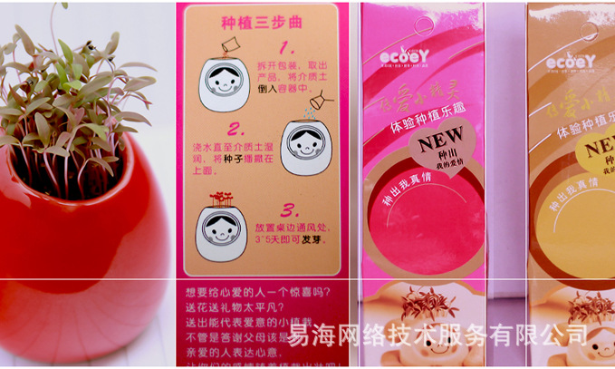 超萌传爱小精灵爱情草新奇环保植物办公室内迷你植物