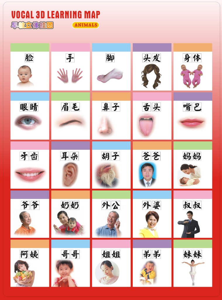 厂家批发 中英文有声电子挂图 语音发声发音挂图 拼音有声挂图