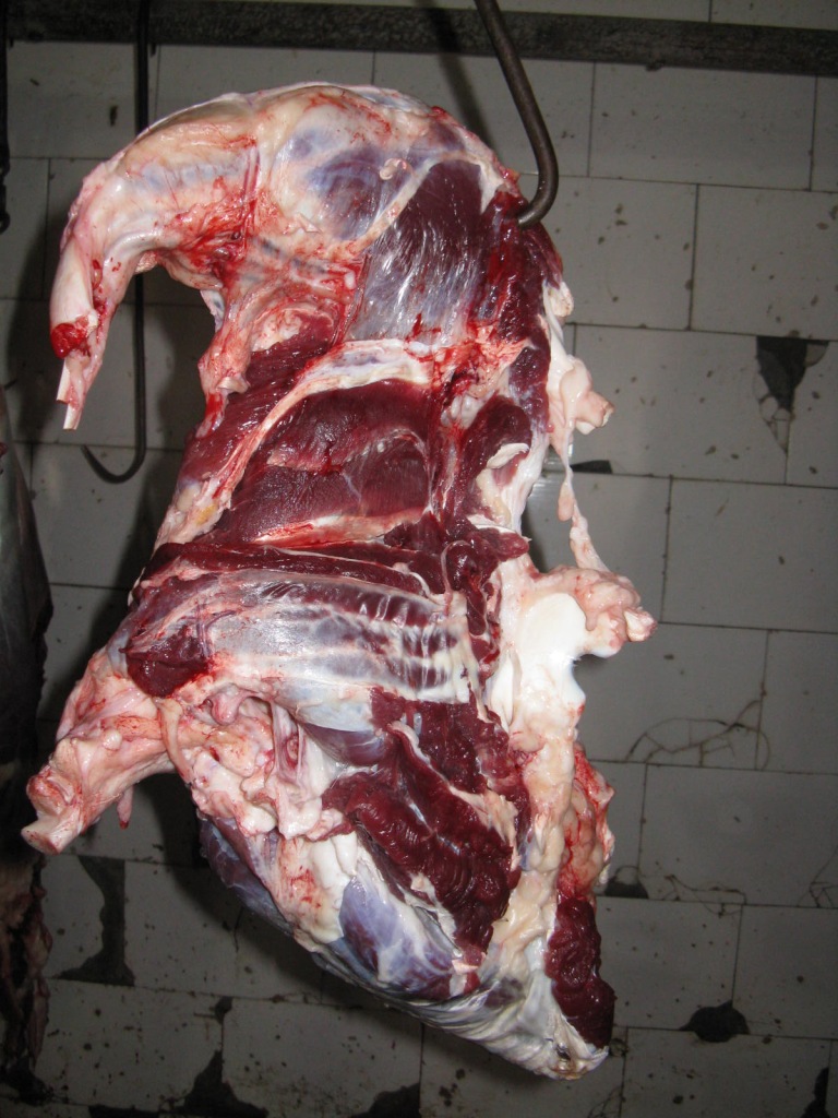 厂家批发牛肉-分割牛肉-牛腱