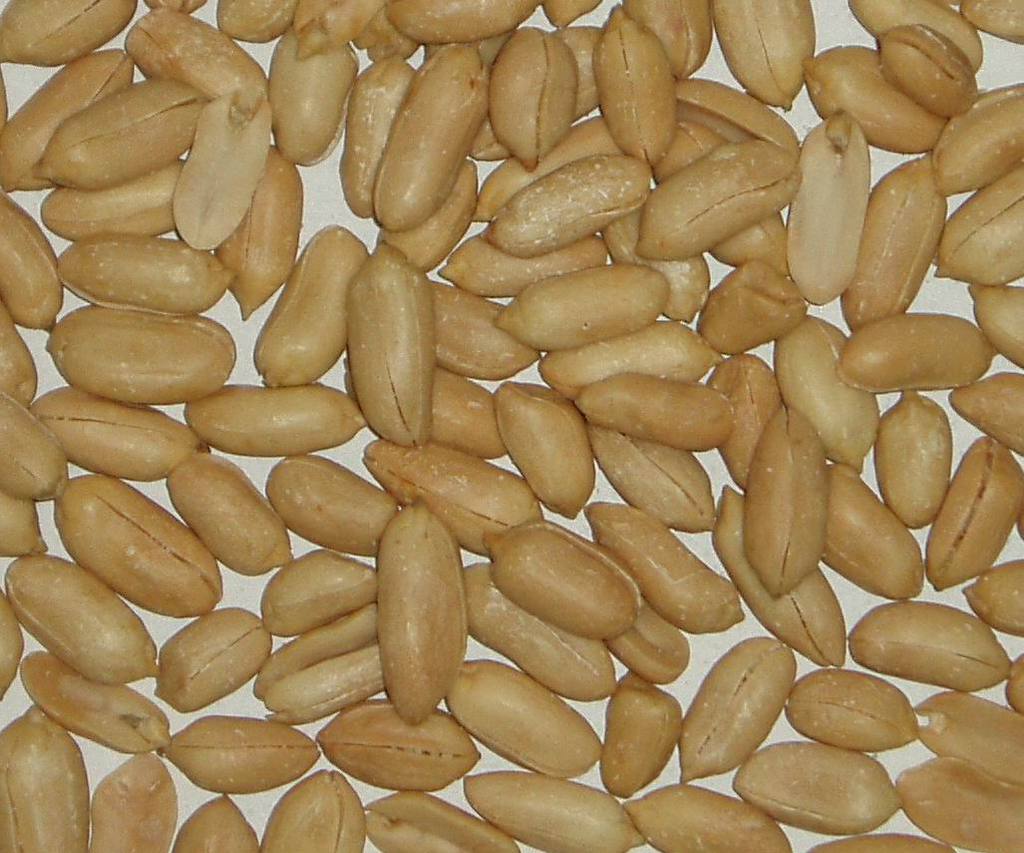 山东产出口级优质脱皮生仁