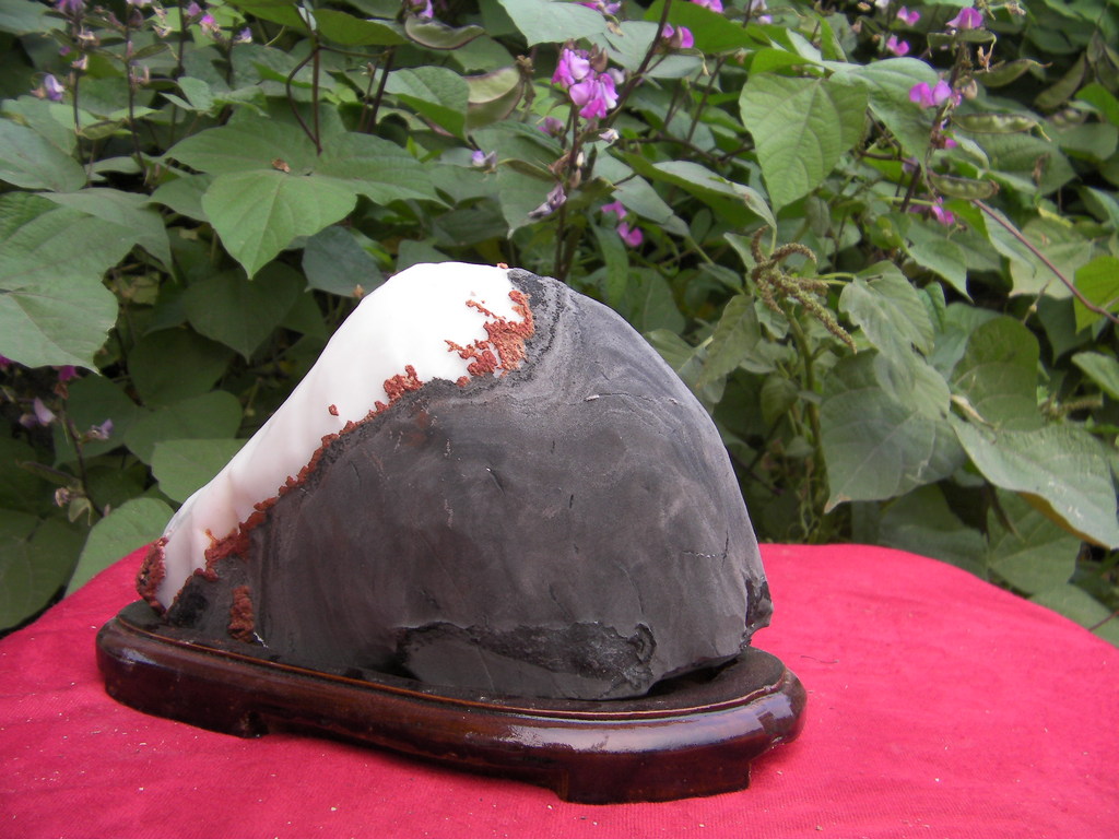 115号已售 白灵璧 白灵玉 白灵石 玉批发 徽玉 白灵璧石 精品灵璧图片