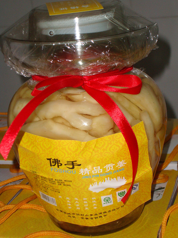 本店热销供应天然种贡姜佛手贡姜1800g