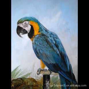 3d立体画(动物系列)