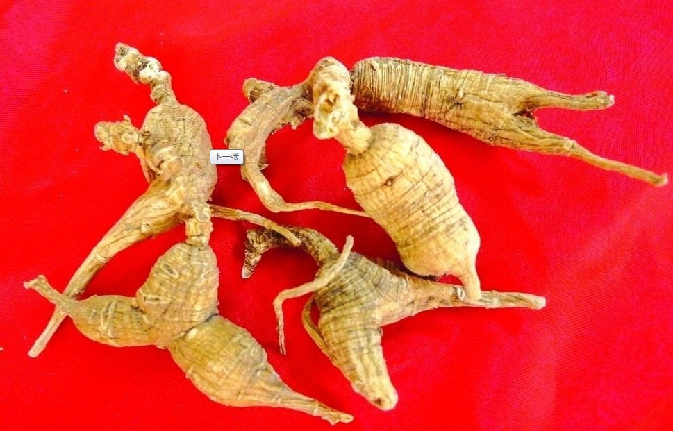 【滋补养生系列】滋养四季b 花旗参120g 枸杞150g 养生杯