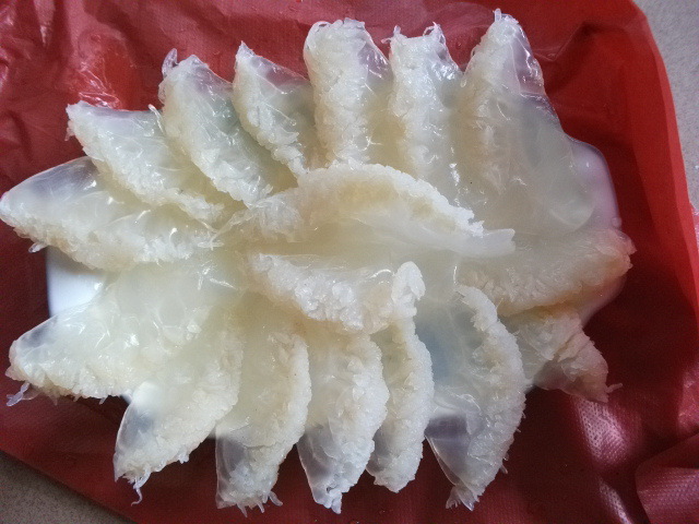 白海蜇头(小花)