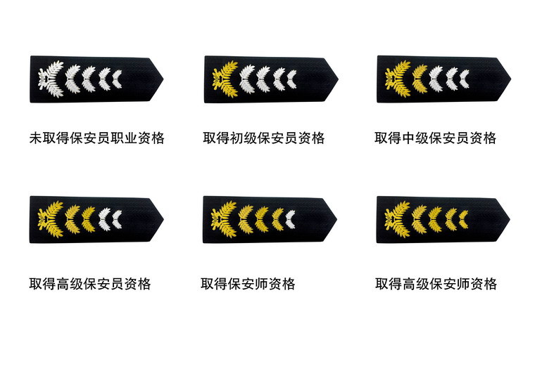 中国保安徽标设计说明图片