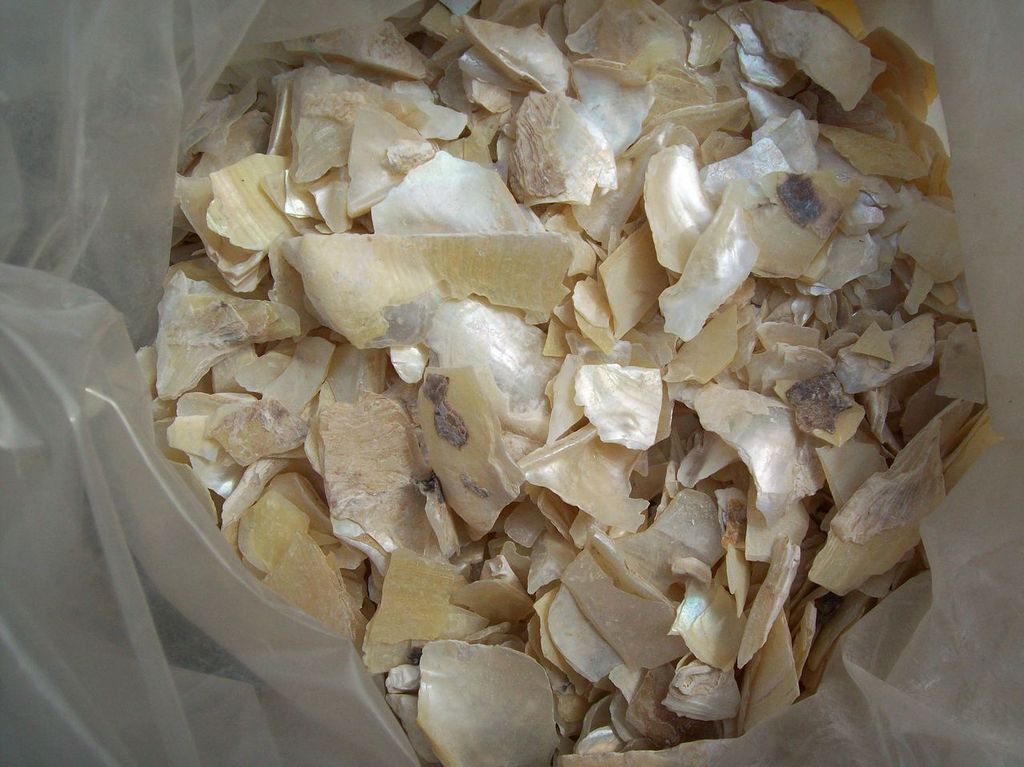 珍珠母 药材 中药珍珠母 中药饮片 正品优质 保健