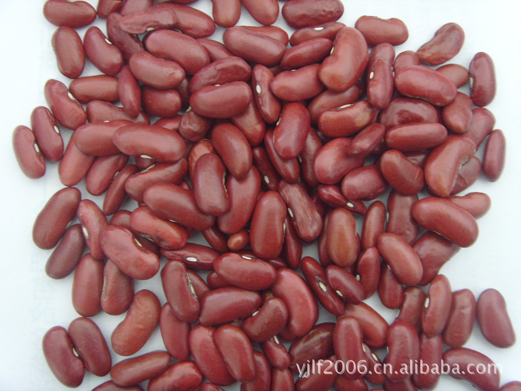 豆,奶花,红花,紫花,奶圆,紫圆,粉圆,白芸豆,黑芸豆,红小豆,豌豆,蚕豆