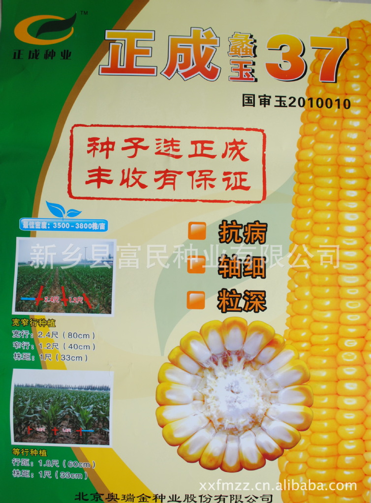 奥瑞金 正成 蠡玉37玉米种子