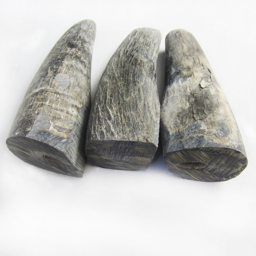 供应厂家直销 大量牛角原材 水牛角 角尖