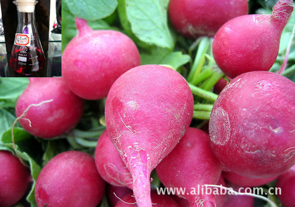 萝卜红 色素/红心萝卜红色素/ 天然色素/食品添加剂/可食用色素