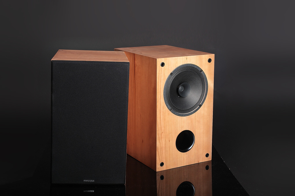 hisinger hf-165(经典版) 6.5寸全频书架式hifi音箱 飞乐全频