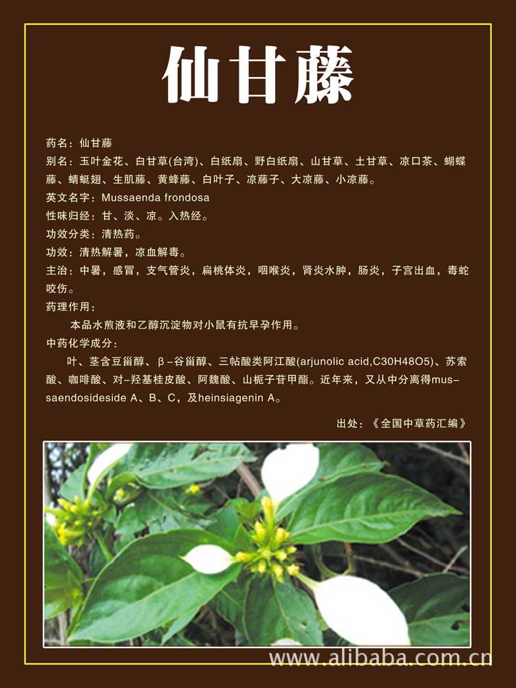 养肝茶批发,益生茶,保健茶叶,凉茶_闽侯县上街阮上好茗茶店_百年基业