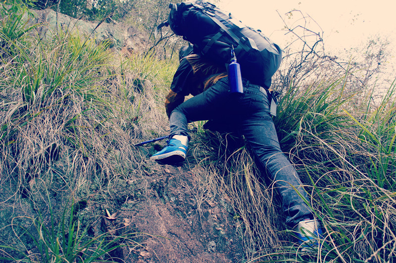 又是一阵努力的攀爬,滨哥飞快的到了半山腰