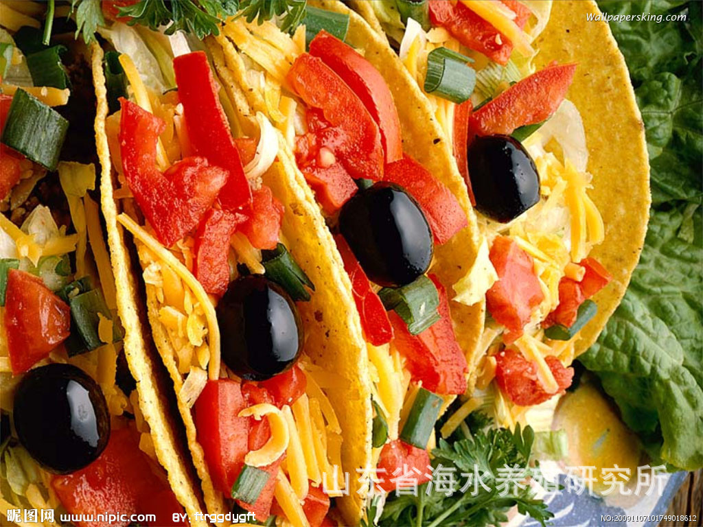 优质斑点鳟鲑(三文鱼新品种)苗种,商品鱼