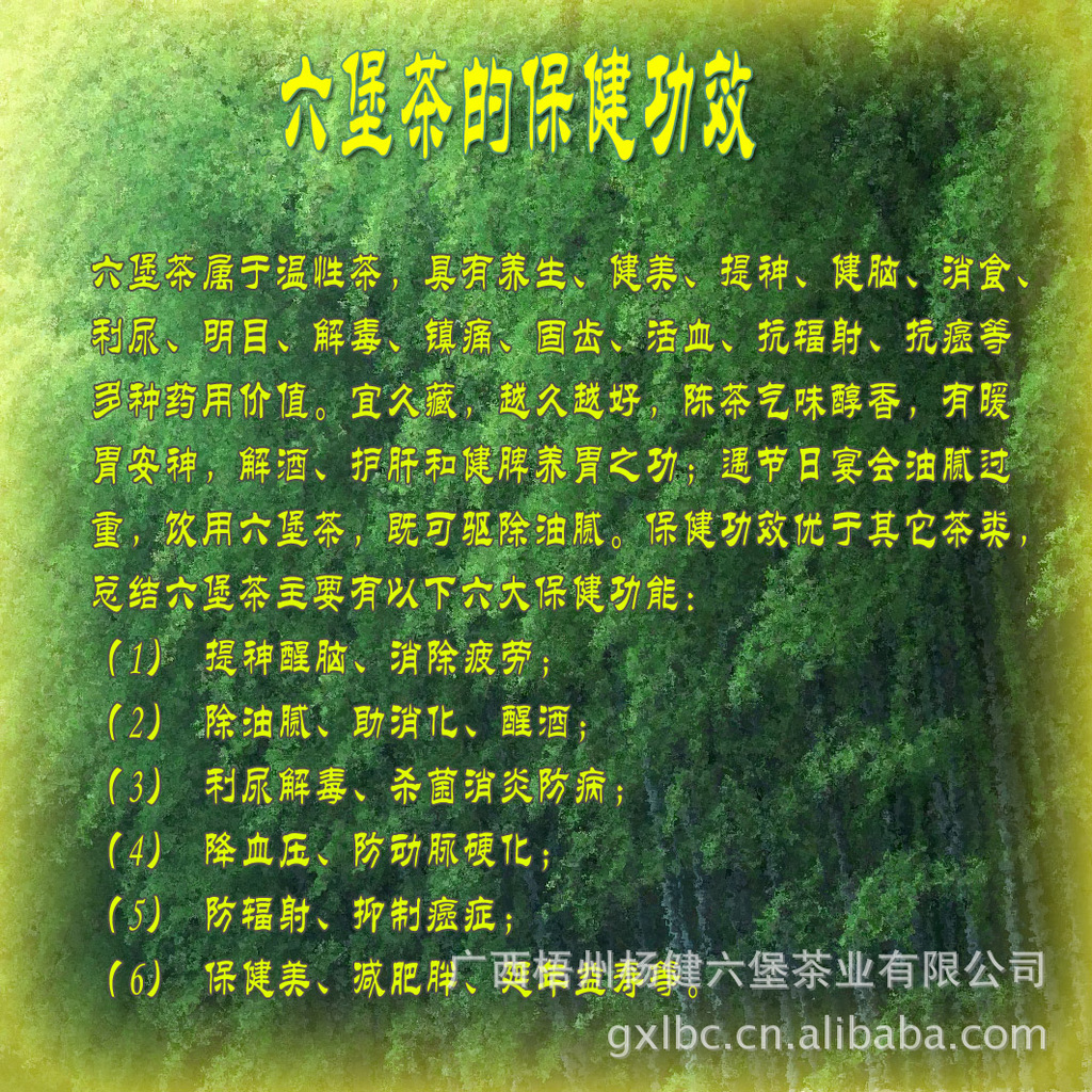 广西特产黑茶 六堡茶 特色篮子装/980