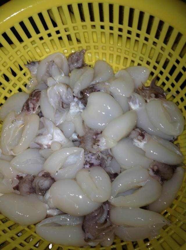 上海东迈热销水产冻品—优质目鱼仔