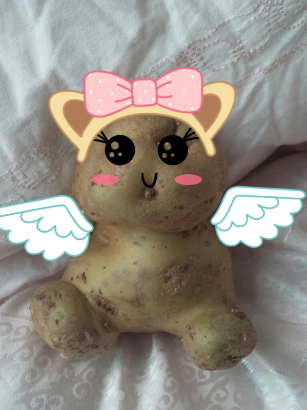 史上最无敌卖萌土豆!可爱死了!