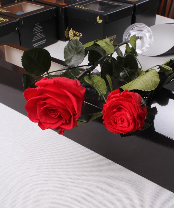 florev永生花 花头8cm 整支长50cm包装玫瑰